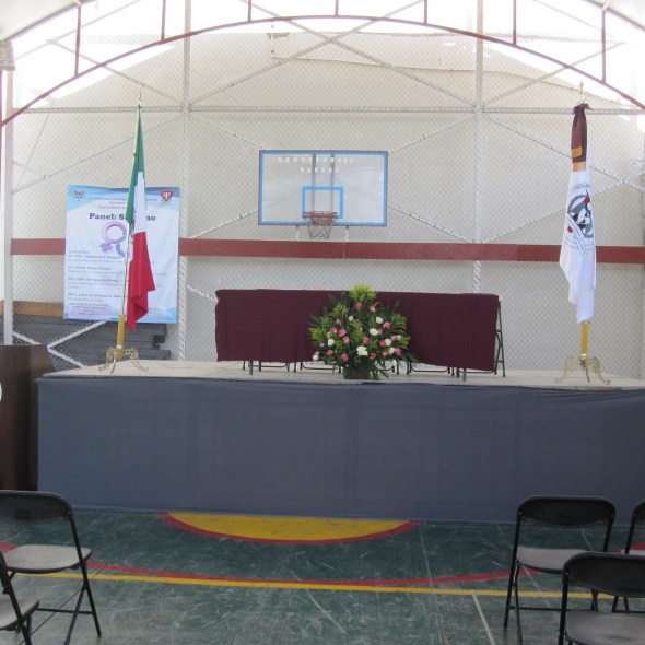 Servifiestas los pinos